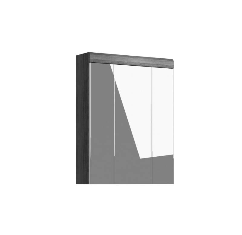 möbelando Spiegelschrank Sandusky 60 x 79 x 18 cm (B/H/T) von möbelando