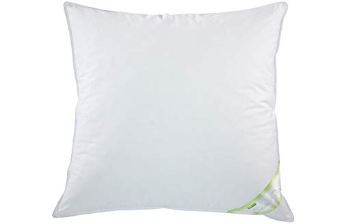 franknatur - Kopfkissen 30% Gänse-Daunen Kissen Federn 80x80 Christin franknatur - Kopfkissen 30% Gänse-Daunen Kissen Federn 80x80 Christin von franknatur