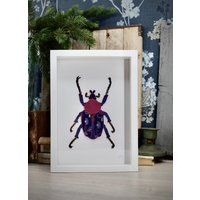Käfer Wandkunst, Insekt Umrahmte Dekoration von moffka