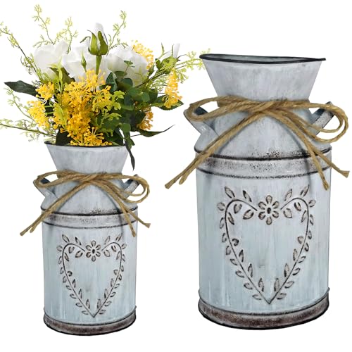Vintage Blumenvase Eisen Blumentopf Milchkanne Herz Milchkanne Eisen Blumentopf Shabby Deko Landhausstil Vase Rustikal Blumeneimer Metall Eimer Übertopf Dekovase Kaktus Topf für Wohnzimmer Tischdeko von mohito