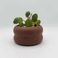 5 "Keramik Bubble Planter Mit Drainageloch | Dunkelroter Burgunder Gesprenkelter Handgemachter Ton-Blumentopf Kurvige Skulpturale Dekoration Flaches 5 "Keramik Bubble Planter Mit Drainageloch | Dunkelroter Burgunder Gesprenkelter Handgemachter Ton-Blumentopf Kurvige Skulpturale Dekoration Flaches von mojavelu