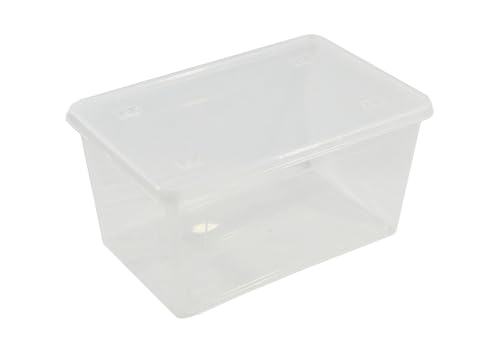 Box – 43 l, transparenter Kunststoff, ideal zur Aufbewahrung, robust und stapelbar, mit funktionalem Design für einfache Organisation. von monkey ladder