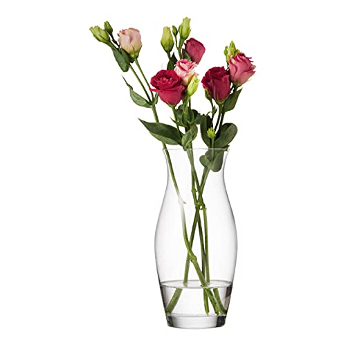 Montana: :Flower Vase, 6er Set, Blumenvase, Dekovase, Glasvase, Blumen, Glas, H 19 cm, 063522 von montana