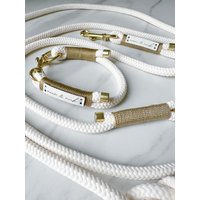 Hundeleine Und Halsband Set Gold Für Große Kleine Hunde von moonandneck