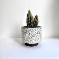 Vintage Blumentopf Keramik Fat Lava, Mid Century Übertopf Weiß Schwarz von moovi