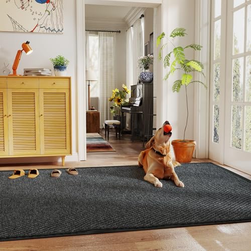 mosegor Teppichläufer für Flur, 300 x 90 cm lang, Teppich, Bodenmatte, Schmutzfangmatte, Eingangsmatte, rutschfeste Türmatte für Flur, Küche, Terrasse, Tür, Zuhause, Büro, Einkaufszentrum von mosegor