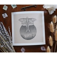 Giclee Of Luna Moth Zeichnung | Kunstdruck Fine Art Reproduktion von MichelleJablonskiArt