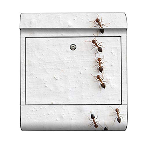motivX-Ideenwerkstatt Briefkasten Kombi Wandbriefkasten mit Motiv Ameisen Wandbriefkasten von motivX