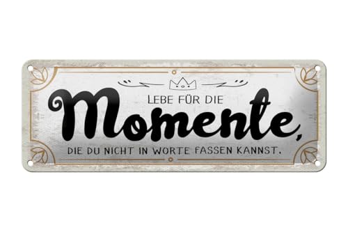 mrdeco Blechschild 27x10cm gewölbt Momente die du nicht in Worte fassen kannst Deko Schild von mrdeco