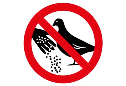 mrdeco Metall Schild 12x18cm gewölbt Tauben Bitte Nicht füttern Warnschild Blechschild von mrdeco