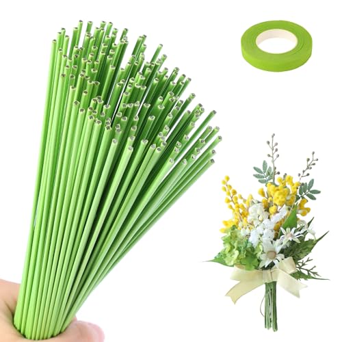 msymsyu Grün-Basteldraht Hellgrün 2mm×30cm 100 Stück - Blumendraht Floristen-Klebeband 1Stück Steckdraht & Flexibel für Handwerk-Blumenstiel-Dekoration von msymsyu