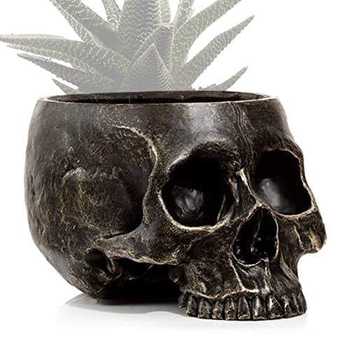mtb more energy Deko Totenkopf Blumentopf ''Ancient Skull'' - Höhe ca 11 cm - Totenschädel Pflanztopf Übertopf von mtb more energy