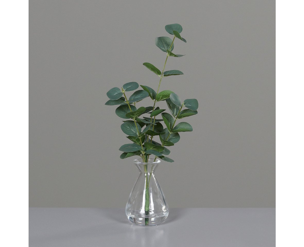 Kunstpflanze Kunstpflanze Eukalyptus im Glas, 30 cm Höhe, naturgetreu, mucHome Kunstpflanze Kunstpflanze Eukalyptus im Glas, 30 cm Höhe, naturgetreu, mucHome von mucHome