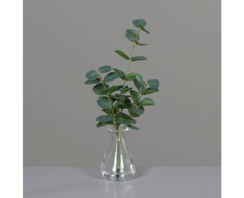 Kunstpflanze Kunstpflanze Eukalyptus im Glas, 30 cm Höhe, naturgetreu, mucHome von mucHome