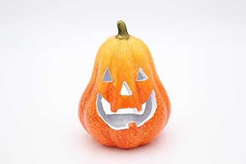 mucHome Windlicht Kürbis 17cm Halloween Herbst Zierkürbis Dekoration Teelicht Halter Laterne Lampe von mucHome