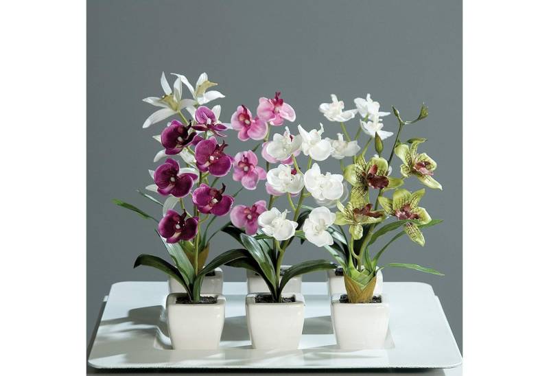 Kunstblume Künstliches Orchideensortiment 6er Set im weißen Topf, mucPlants Kunstblume Künstliches Orchideensortiment 6er Set im weißen Topf, mucPlants von mucPlants