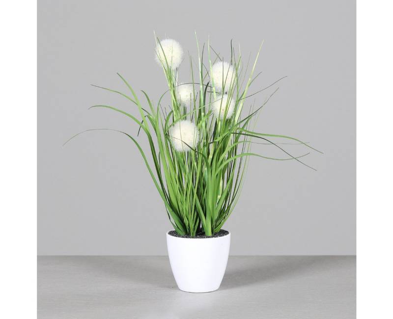 Kunstgras künstliches Kugelgras/ Palmgras im Topf ca. 38cm, mucPlants Kunstgras künstliches Kugelgras/ Palmgras im Topf ca. 38cm, mucPlants von mucPlants