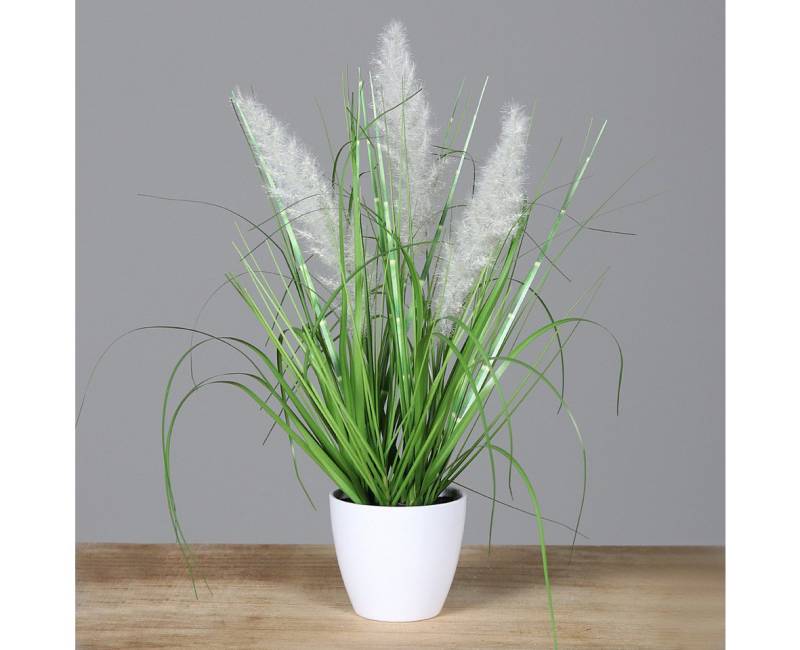 Kunstgras künstliches Kugelgras/ Palmgras im Topf ca. 38cm, mucPlants von mucPlants