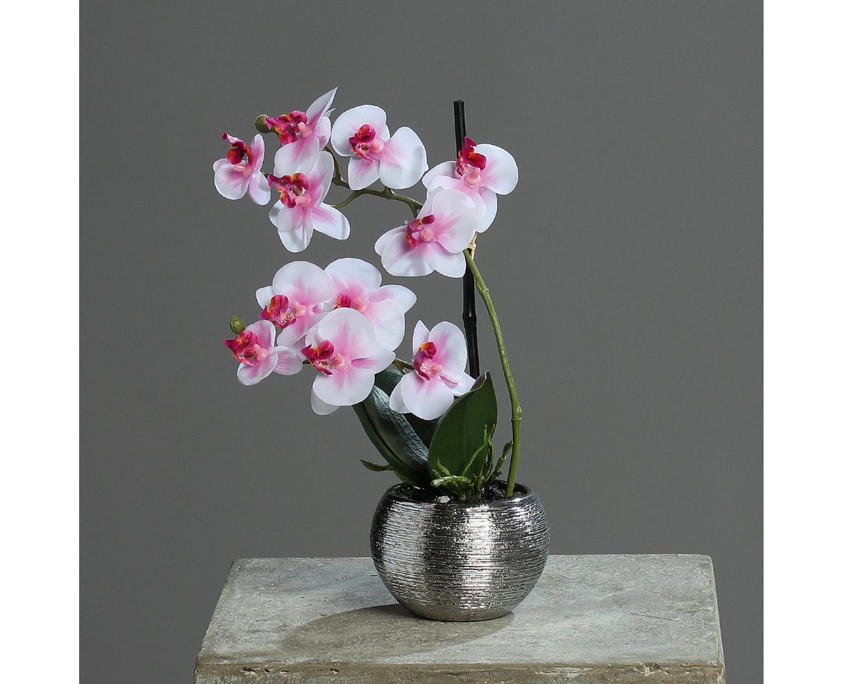 Kunstorchidee 30cm im Keramiktopf, Silber künstliche Orchidee Kunstpflanze Phalaenopsis, mucPlants von mucPlants