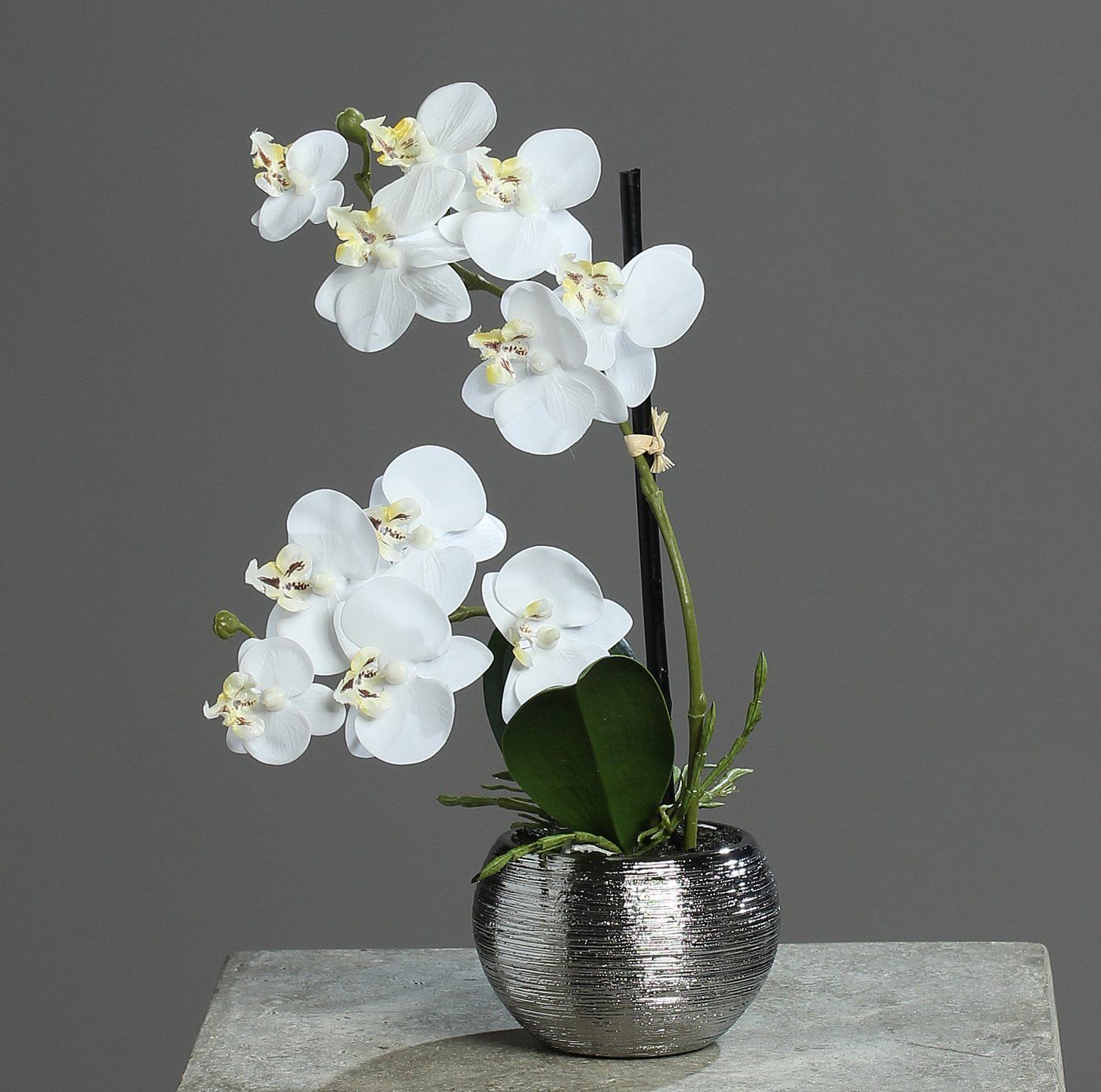 Kunstorchidee 30cm im Keramiktopf, Silber künstliche Orchidee Kunstpflanze Phalaenopsis, mucPlants von mucPlants