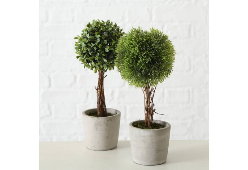 Kunstpflanze 2er Set künstliche Pflanzen im Zementtopf Höhe ca. 30cm mit Echtholzstamm Deko Tischdeko Buchsbaum, mucPlants von mucPlants