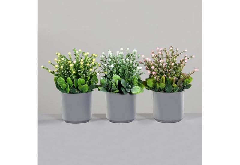 Kunstpflanze 3er Set Beeren Mix Arrangement im grauen Kunststofftopf 20cm, mucPlants Kunstpflanze 3er Set Beeren Mix Arrangement im grauen Kunststofftopf 20cm, mucPlants von mucPlants