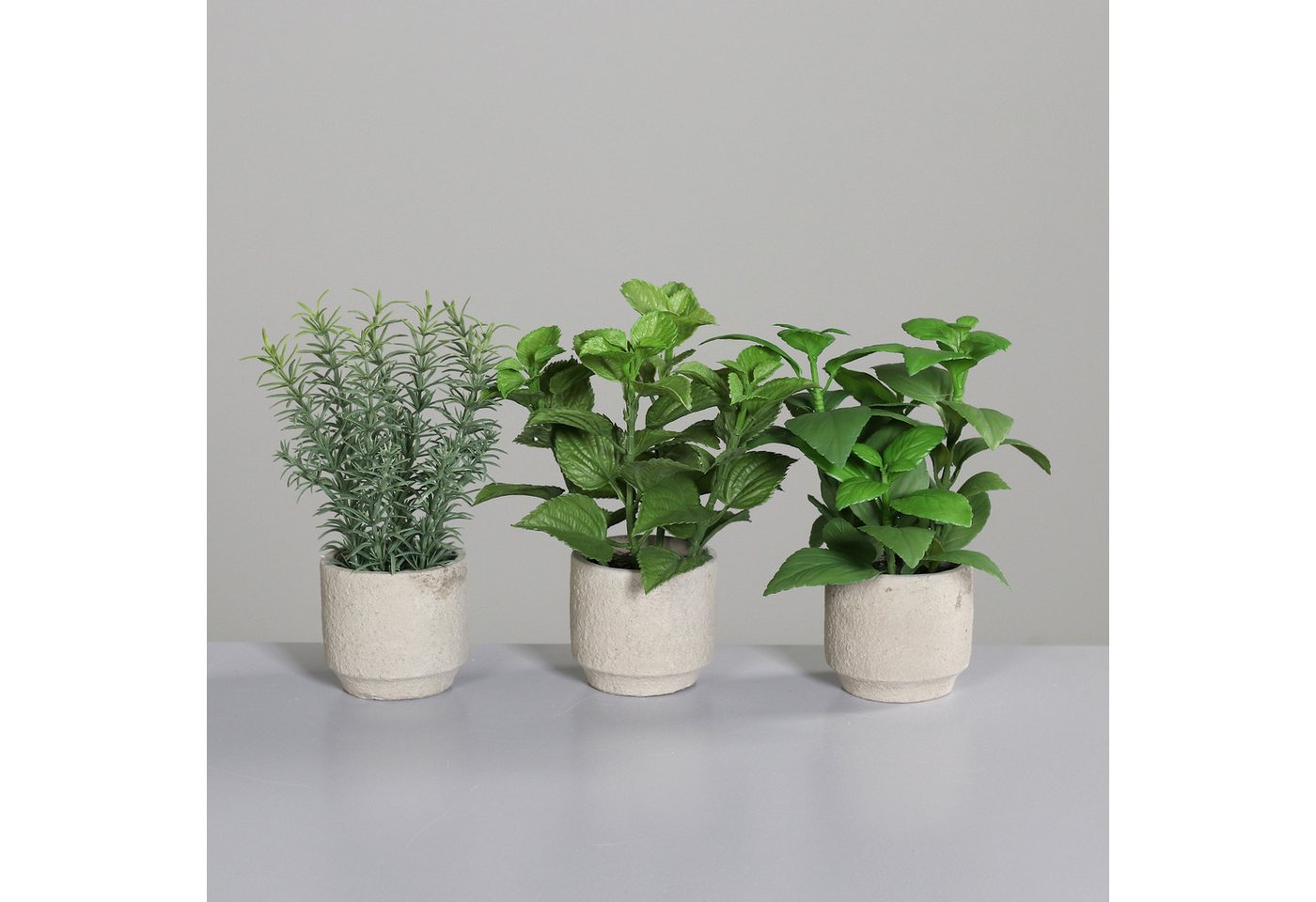 Kunstpflanze Künstliches botanisches Zierkräuter 3er Set, Zement-Töpfe, mucPlants von mucPlants