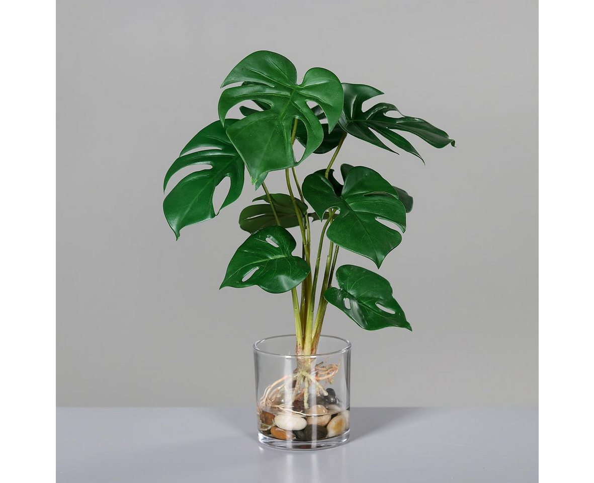 Kunstpflanze Monstera Deluxe Kunstpflanze im Glasgefäß, 38 cm künstliches Wasser, mucPlants Kunstpflanze Monstera Deluxe Kunstpflanze im Glasgefäß, 38 cm künstliches Wasser, mucPlants von mucPlants