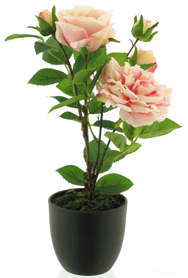 Kunstpflanze Rosenstock 38cm künstliche Rose im schwarzen Topf, mucPlants von mucPlants