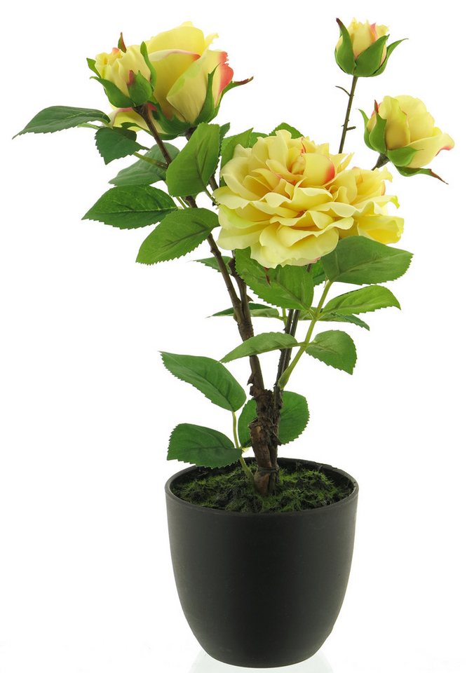 Kunstpflanze Rosenstock 38cm künstliche Rose im schwarzen Topf, mucPlants von mucPlants