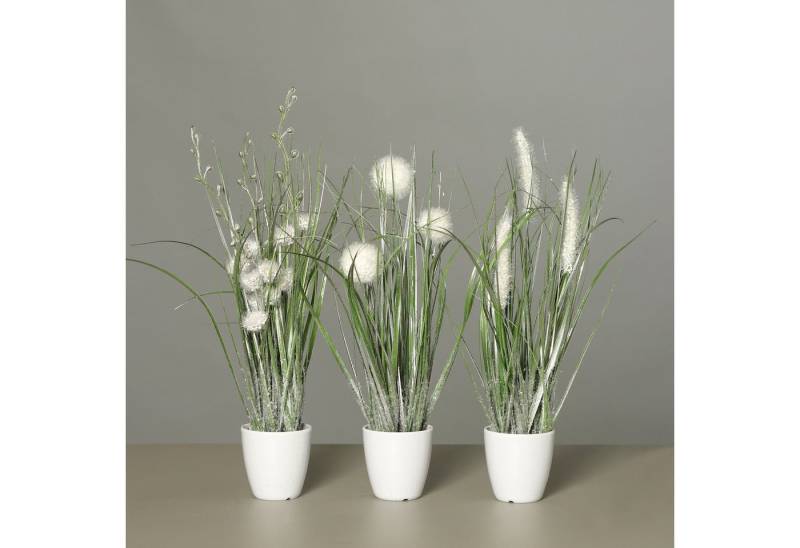 Winterliche Kunstpflanze 3er Set glitzerndes Gras im weißen Topf, Höhe 35cm Kunstgras, mucPlants von mucPlants