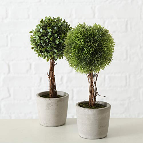 mucplants 2er Set künstliche Pflanzen im Zementtopf Höhe ca. 30cm mit Echtholzstamm Deko Tischdeko Buchsbaum mucplants 2er Set künstliche Pflanzen im Zementtopf Höhe ca. 30cm mit Echtholzstamm Deko Tischdeko Buchsbaum von mucplants