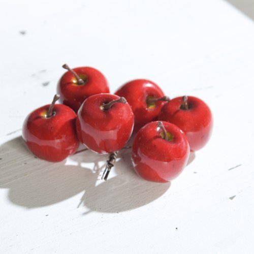 mucplants 6 Stück rote Mini-Lackäpfel mit Drahtstiel 3,5cm zur Dekoration Kunstobst künstliches Obst von mucplants