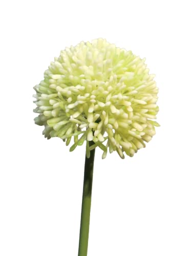 mucplants Allium ca. 45cm Kunstblume Lauchblüten Zierlauch Blume künstlich Kunstblume (Weiß) von mucplants