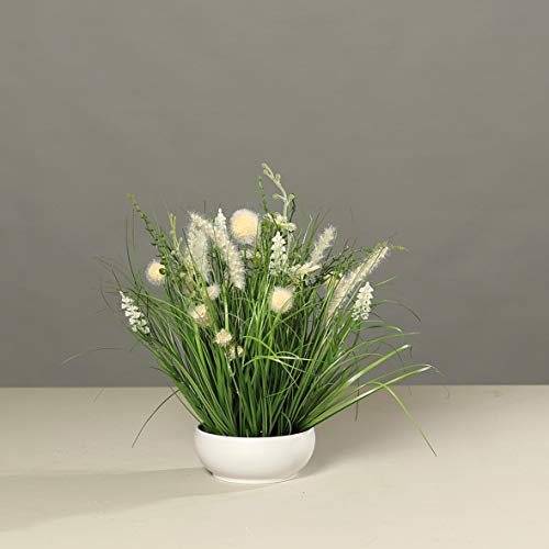 mucplants Blumengesteck weiß/Creme künstliche Wiesenblumen in weißer Schale, H40cm Tischgesteck Kunstblumen von mucplants