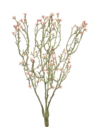 mucplants Blumenzweig künstlich mit rosa Blüten ca. 44cm Blumenbusch Blüten Blumenzweig für Vase Deko Frühling Blütenzweig mucplants Blumenzweig künstlich mit rosa Blüten ca. 44cm Blumenbusch Blüten Blumenzweig für Vase Deko Frühling Blütenzweig von mucplants