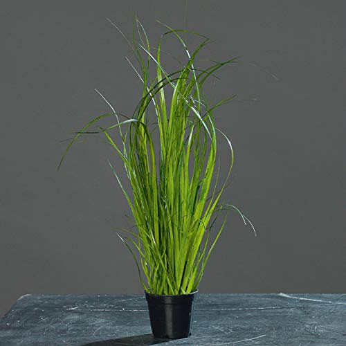 mucplants Chinaschilf Kunstgras, 42cm, im schwarzen Topf/Kunstpflanze/künstliches Gras von mucplants