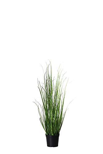 mucplants Dekogras im Topf - Künstlich & Naturgetreu - Höhe 60cm - Grasbüschel Ziergras Ufergras Kunstgras Grasbusch Schilfgras (Höhe: 60cm) von mucplants