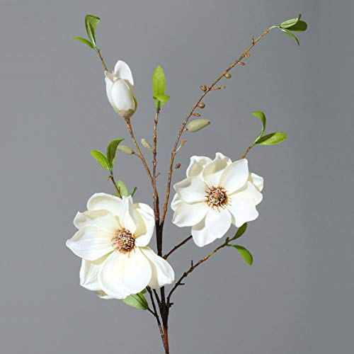 mucplants Großer künstlicher Magnolienzweig Cream ca. 90cm Seidenblumen Kunstblume Magnolie von mucplants