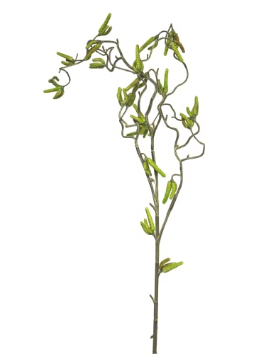 mucplants Haselnusszweig Korkenzieherhasel 100cm künstlicher Zweig Korkenzieherzweig Hasel künstlicher AST Kunstast Kunstzweig mucplants Haselnusszweig Korkenzieherhasel 100cm künstlicher Zweig Korkenzieherzweig Hasel künstlicher AST Kunstast Kunstzweig von mucplants