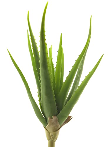 mucplants Künstliche Aloe Vera 41cm Real-Touch Aloevera Stecker Stab Kunstpflanze Zimmerpflanze von mucplants