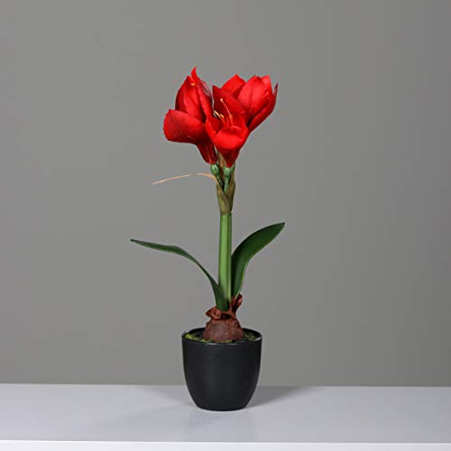 mucplants Künstliche Amaryllis Rot 40cm im schwarzen Kunststofftopf Kunstblume Kunstpflanze Dekopflanze von mucplants