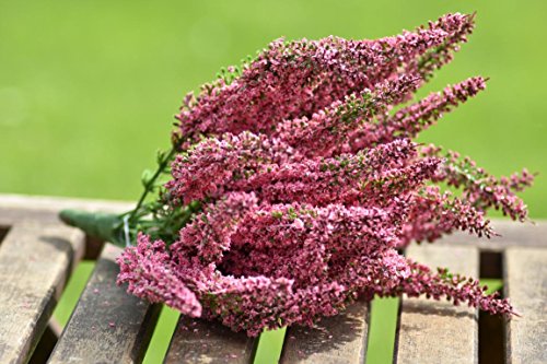 mucplants Künstliche Erika Calluna Heide Busch Pink 24 Blütenstände von mucplants