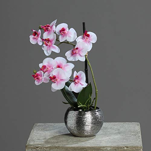 mucplants Künstliche Orchidee 30cm Pink-Weiß Keramiktopf Silber Kunstblumen künstliche Blumen Kunstpflanze Phalaenopsis von mucplants