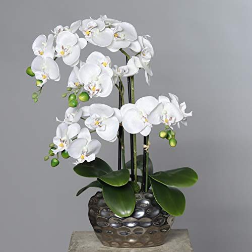 mucplants Künstliche Orchidee Phalaenopsis Weiß H. 50cm Keramiktopf Silber Kunstblume Kunstpflanze Kunstorchidee von mucplants