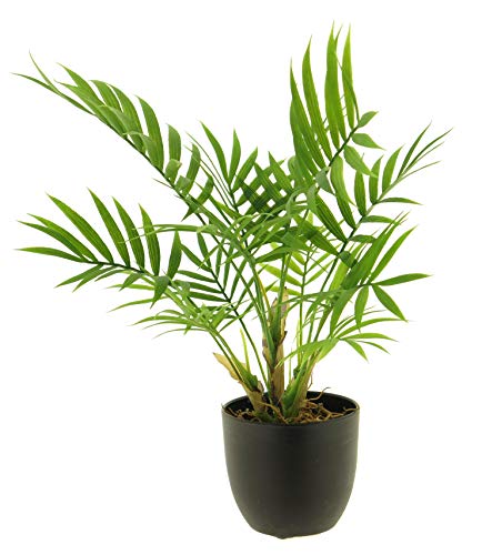 mucplants Künstliche Palme Chamaedorea Grün im Topf Kunstpflanze Höhe:ca.36cm Dekopflanze von mucplants
