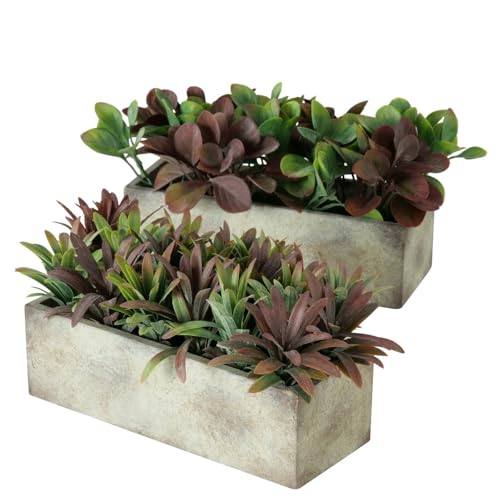 mucplants Künstliche Sukkulenten in Betonschalen 2er-Set 24 cm Länge Grün-Braun Dekorative Kunstpflanzen mucplants Künstliche Sukkulenten in Betonschalen 2er-Set 24 cm Länge Grün-Braun Dekorative Kunstpflanzen von mucplants