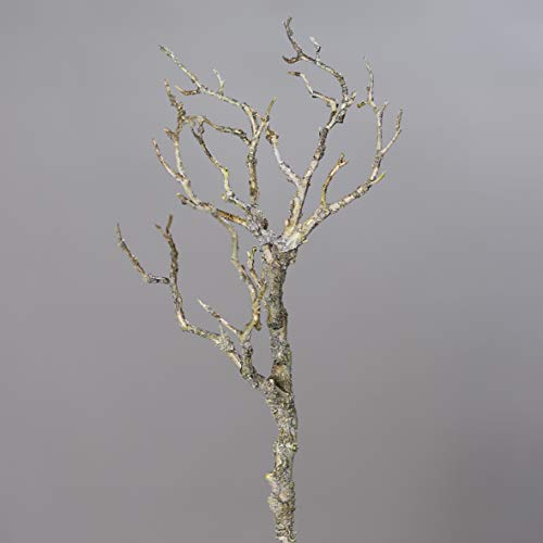 mucplants Künstlicher AST Dunkelbraun 40cm naturgetreuer Dekoast Dekozweig AST Zweig Kunstast aus Kunststoff von mucplants