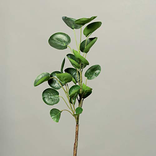 mucplants Künstlicher Cotinuszweig H:41cm Kunstzweig Kunstpflanzen Dekopflanze von mucplants