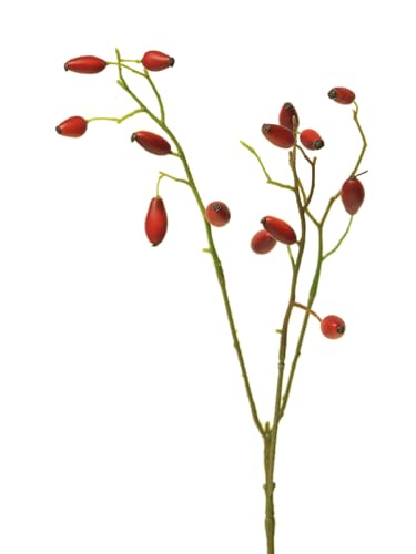 mucplants Künstlicher Hagebutten Zweig Rosehip Kunstpflanze Rot ca. 46 cm Stecker AST Dekoast von mucplants